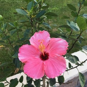 Meet your Posher, Leigh